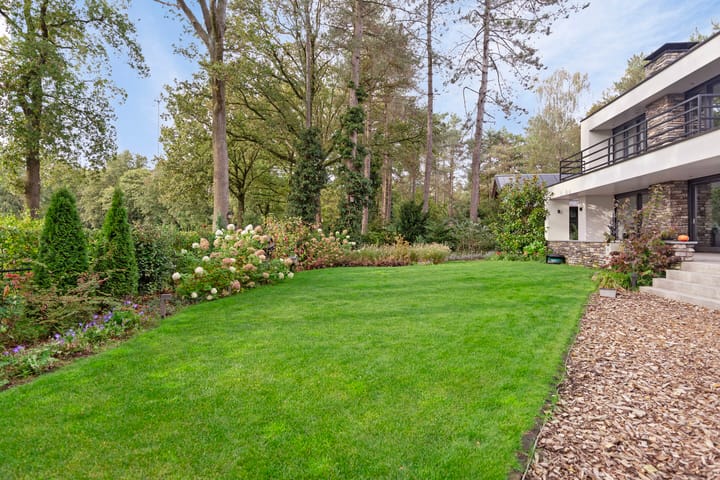 Photo 11 of De Stille Wille 35