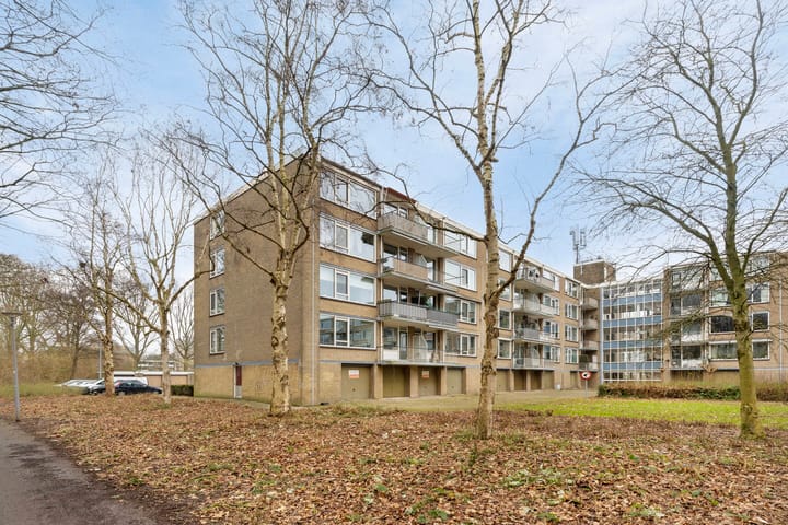 Foto 5 van Schalkeroord 131