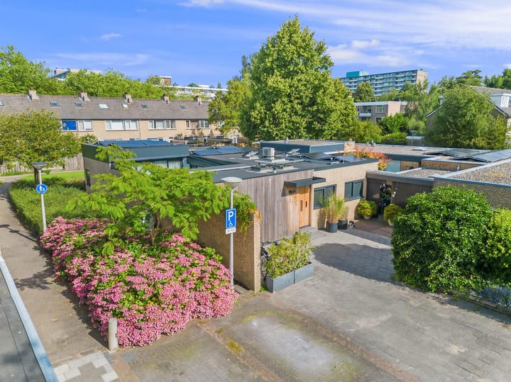 Photo 23 of Orinoco 21