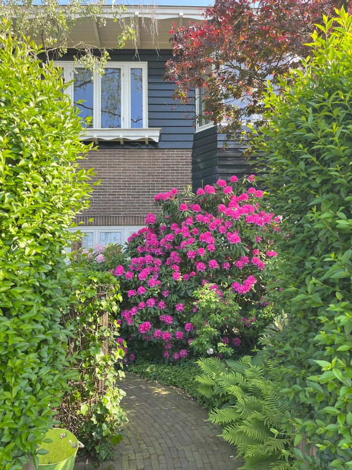 Foto 4 van Comeniuslaan 39