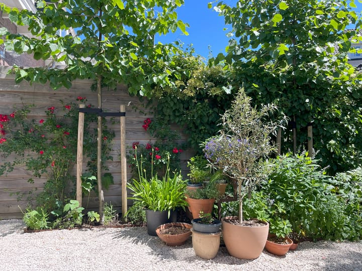 Foto 21 van Comeniuslaan 39