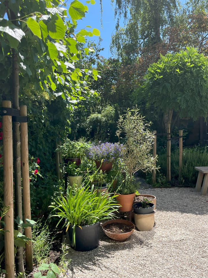 Foto 22 van Comeniuslaan 39