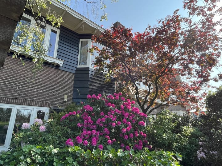 Foto 39 van Comeniuslaan 39