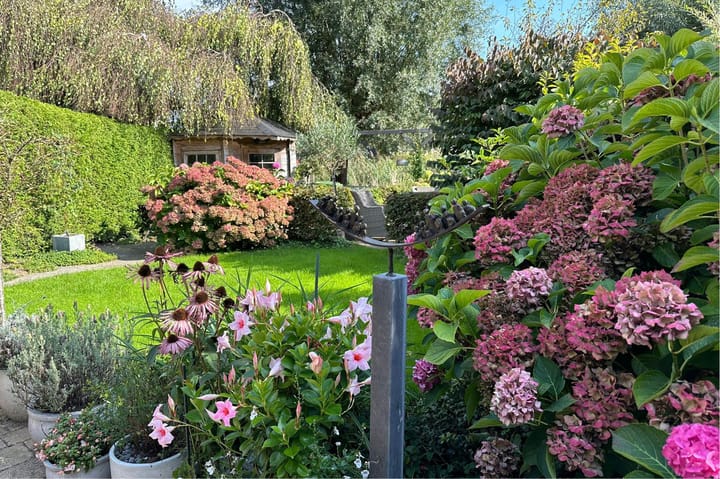 Foto 11 van Boezemvliet 24