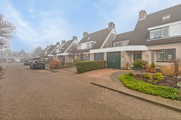 Foto 36 van Boezemvliet 24