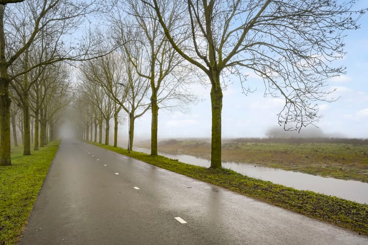 Foto 33 van Zilverpark 135