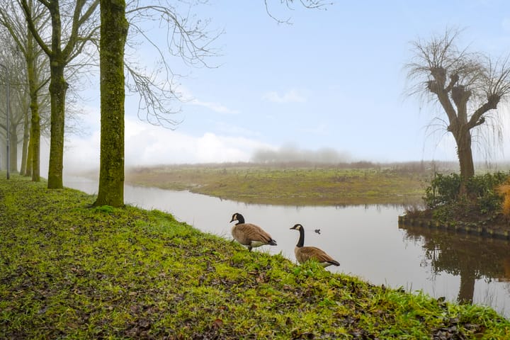 Foto 34 van Zilverpark 135