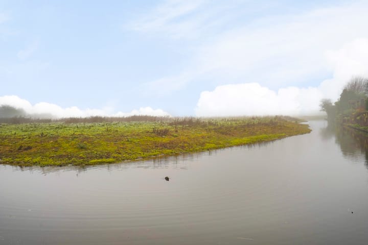 Foto 35 van Zilverpark 135