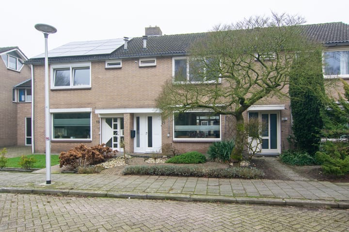 undefined main image