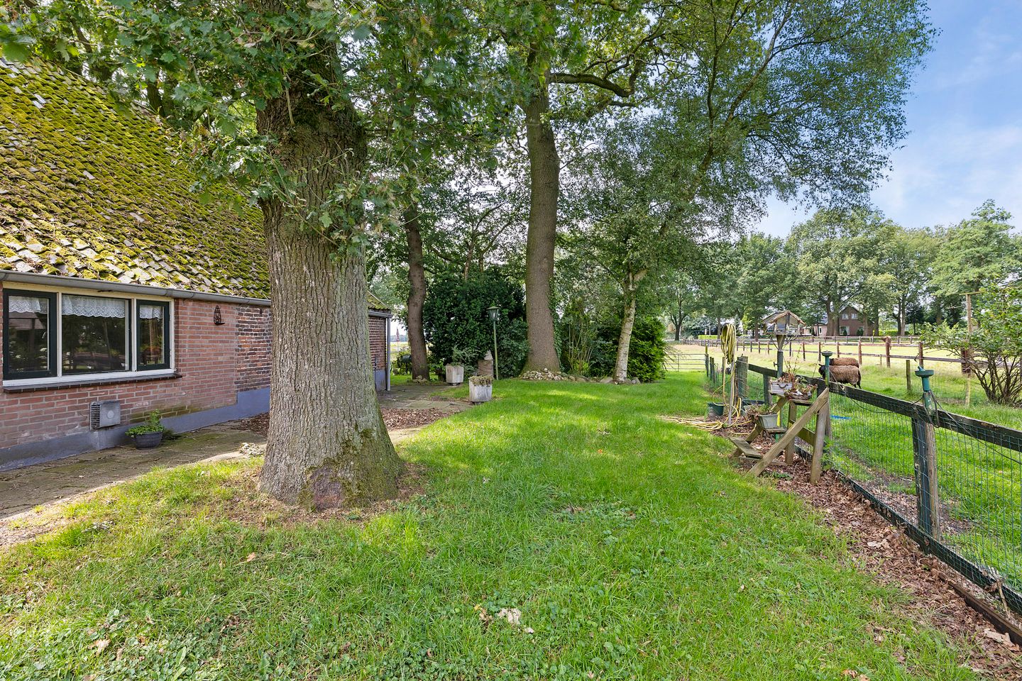 Foto 10 van Hendrikus Zomerweg 1