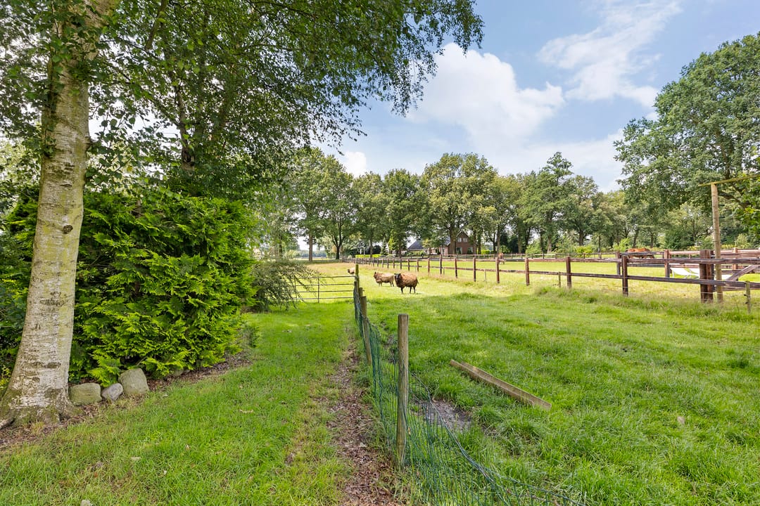 Foto 11 van Hendrikus Zomerweg 1