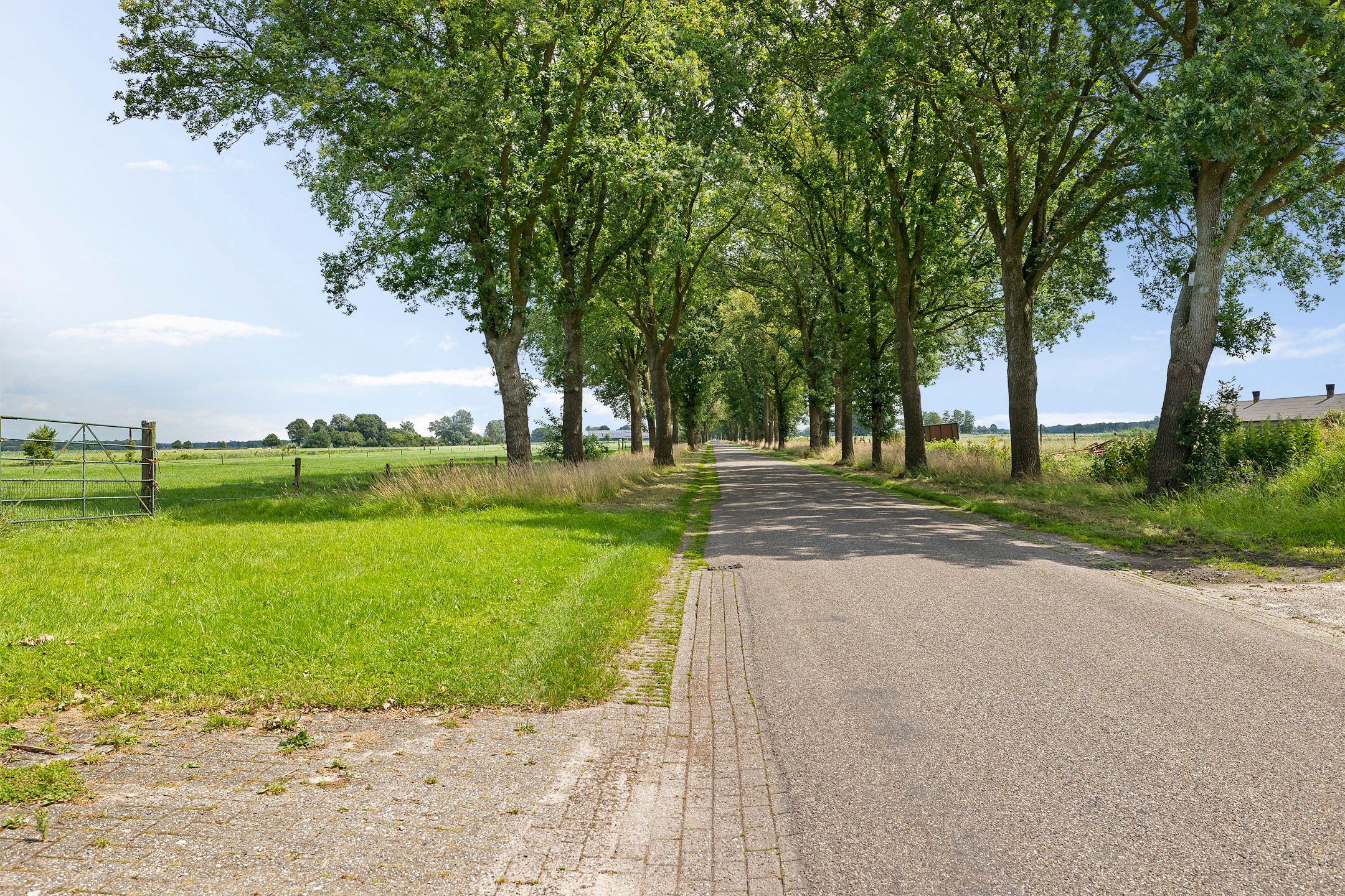 Foto 18 van Hendrikus Zomerweg 1