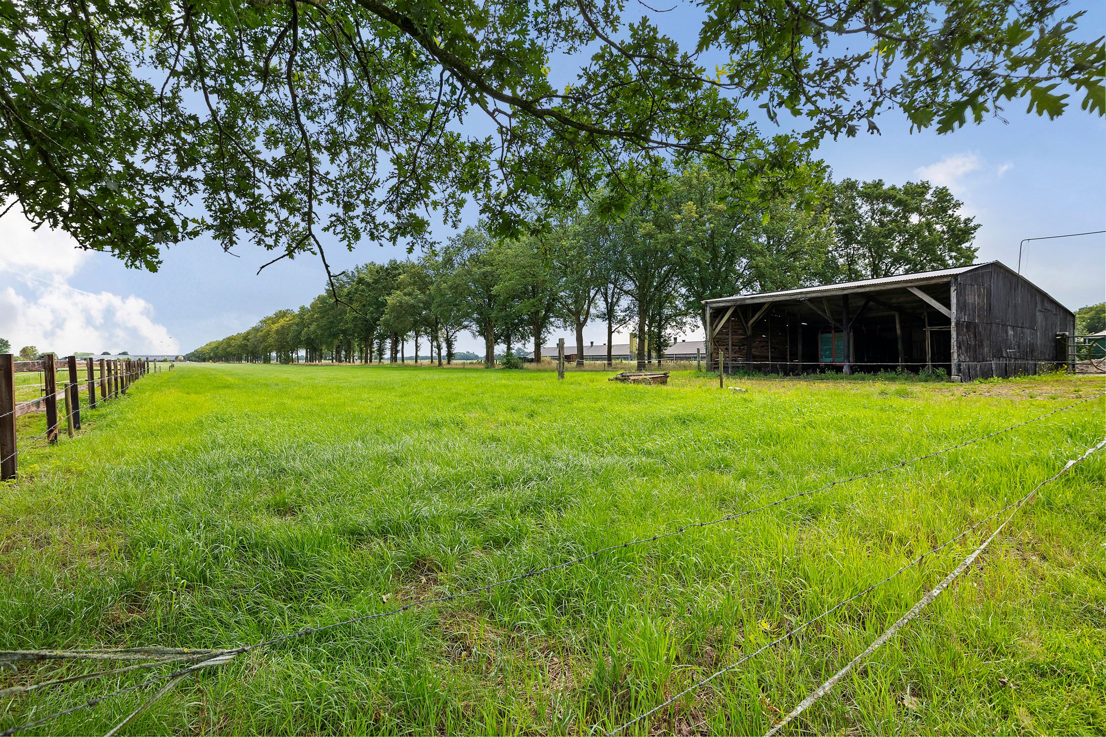 Foto 21 van Hendrikus Zomerweg 1