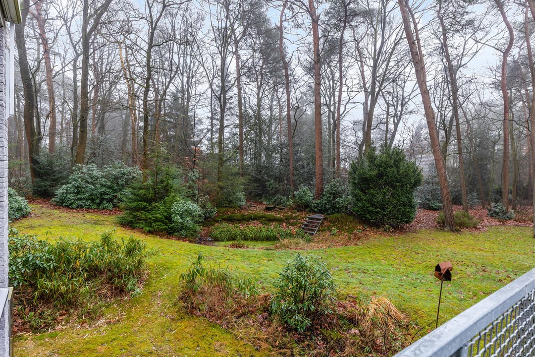 Foto 47 van Lijsterbesweg 3