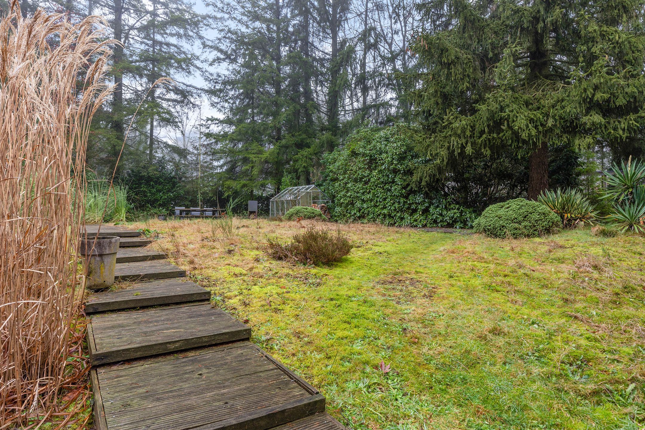 Foto 48 van Lijsterbesweg 3