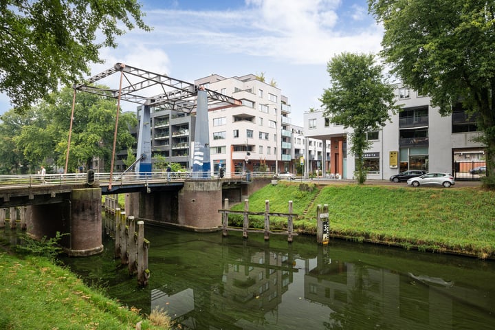 van Berckelstraat 3