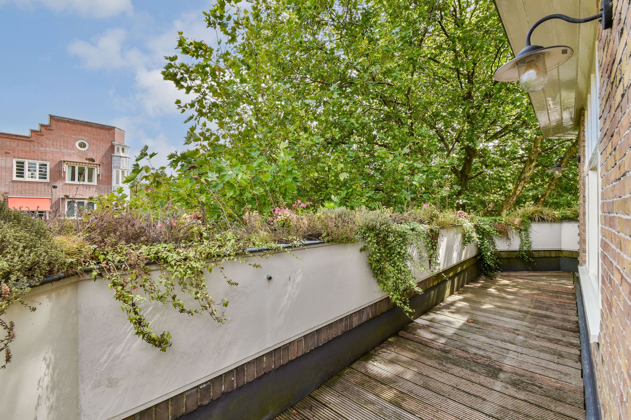 Photo 33 of Hacquartstraat 1