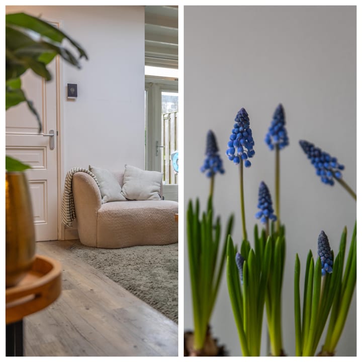 Foto 34 van Nachtegaallaan 66