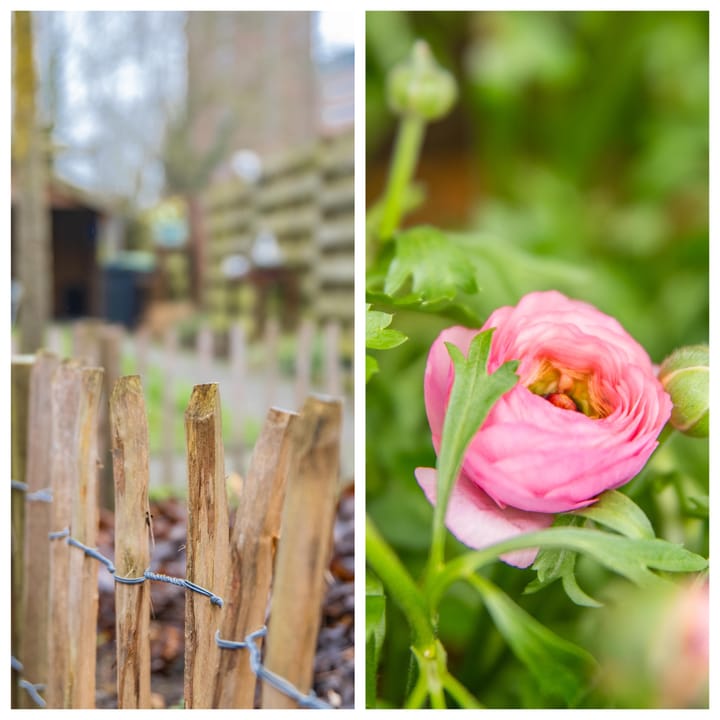 Foto 46 van Nachtegaallaan 66