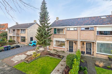 undefined main image