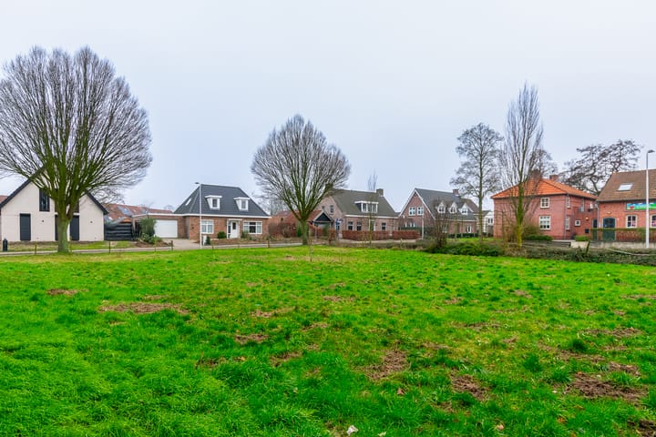 Foto 1 van Nederheide