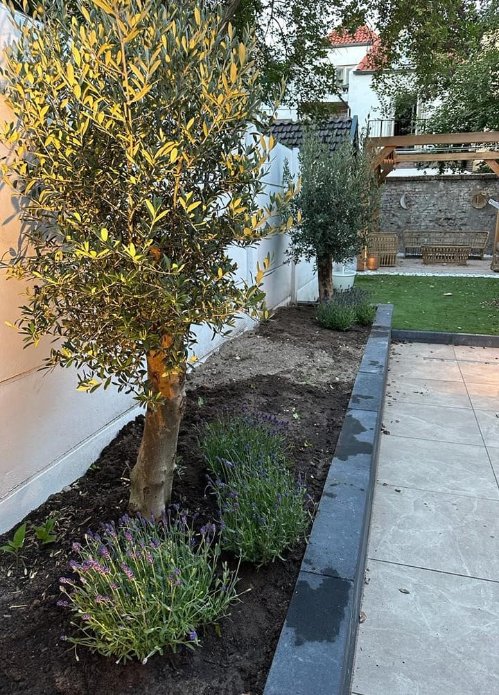 Foto 35 van Bruynssteeg 16