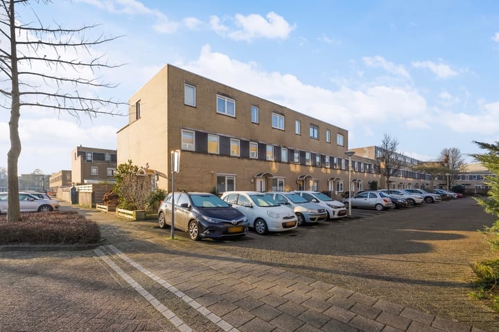 Foto 1 van Pruisisch blauw 47