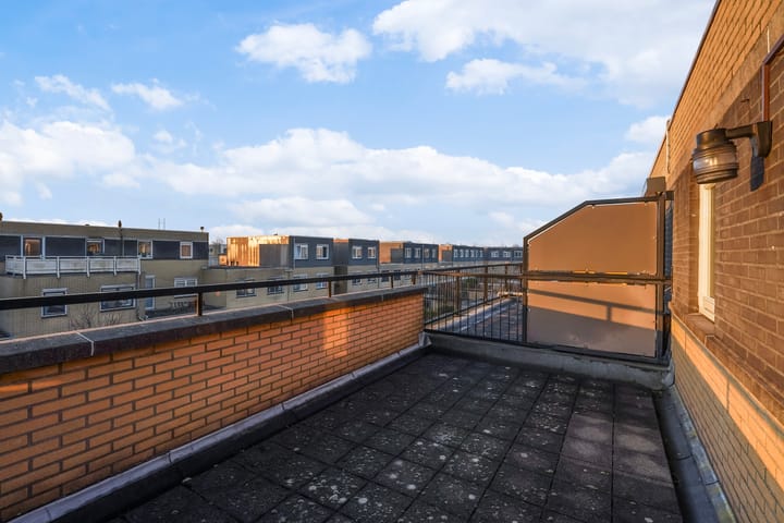 Foto 4 van Pruisisch blauw 47