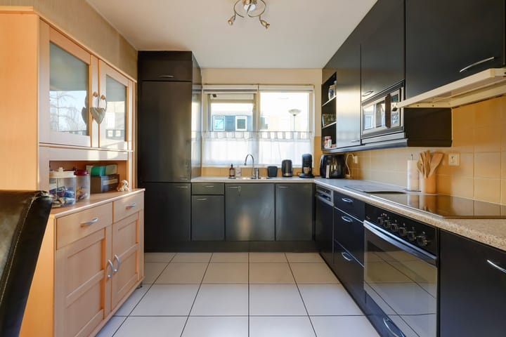 Foto 10 van Pruisisch blauw 47