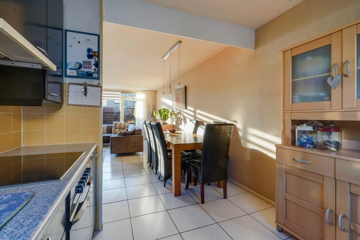 Foto 14 van Pruisisch blauw 47