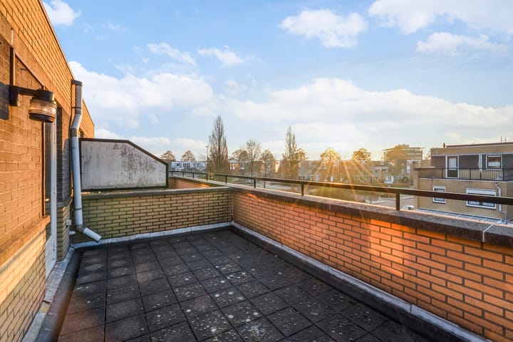 Foto 39 van Pruisisch blauw 47