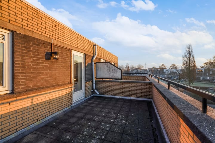 Foto 40 van Pruisisch blauw 47