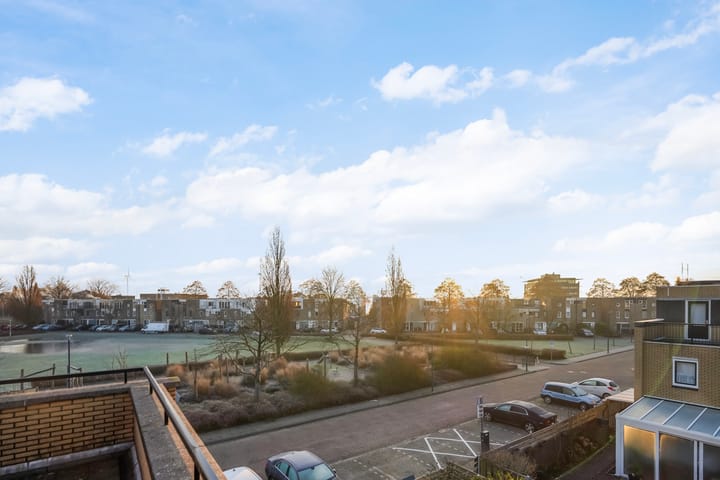 Foto 41 van Pruisisch blauw 47