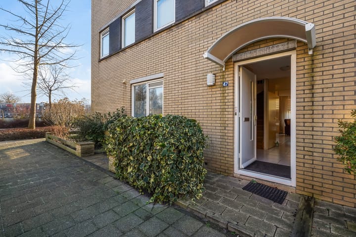 Foto 46 van Pruisisch blauw 47