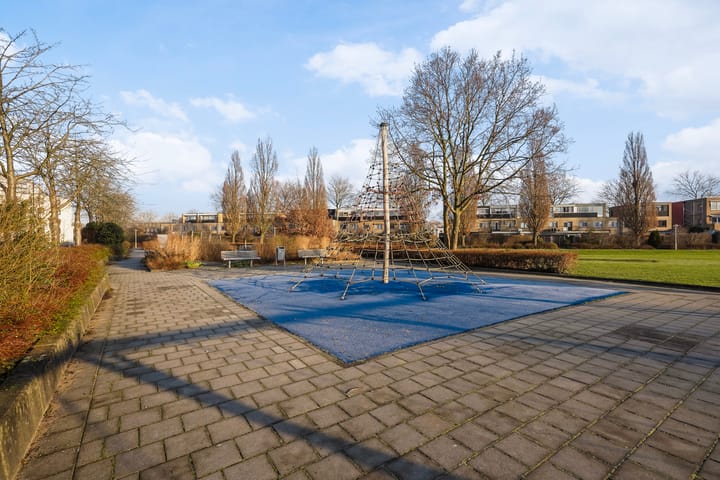 Foto 50 van Pruisisch blauw 47