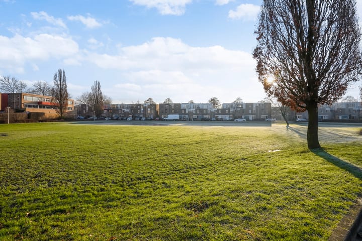 Foto 51 van Pruisisch blauw 47