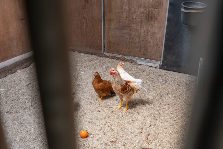 Foto 35 van Holterweg 126-A