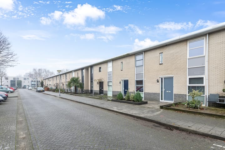 Foto 24 van Heideblauwtje 27