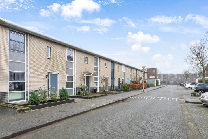 Foto 25 van Heideblauwtje 27