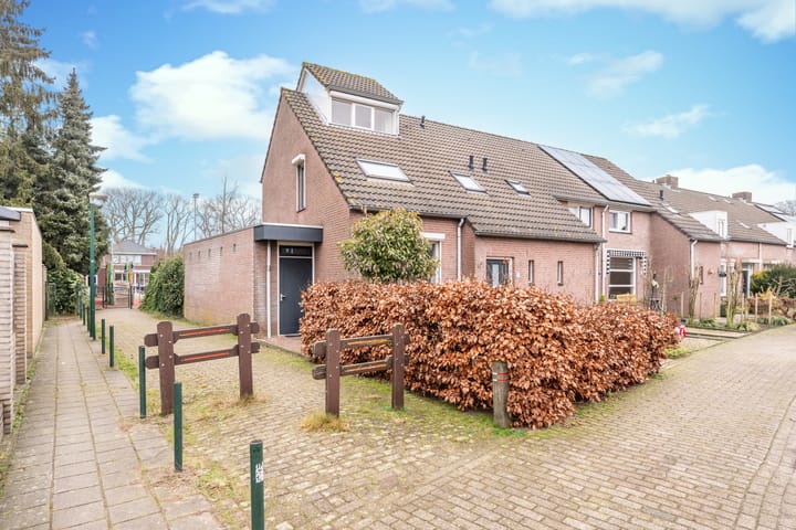 Foto 9 van Valentijn 27