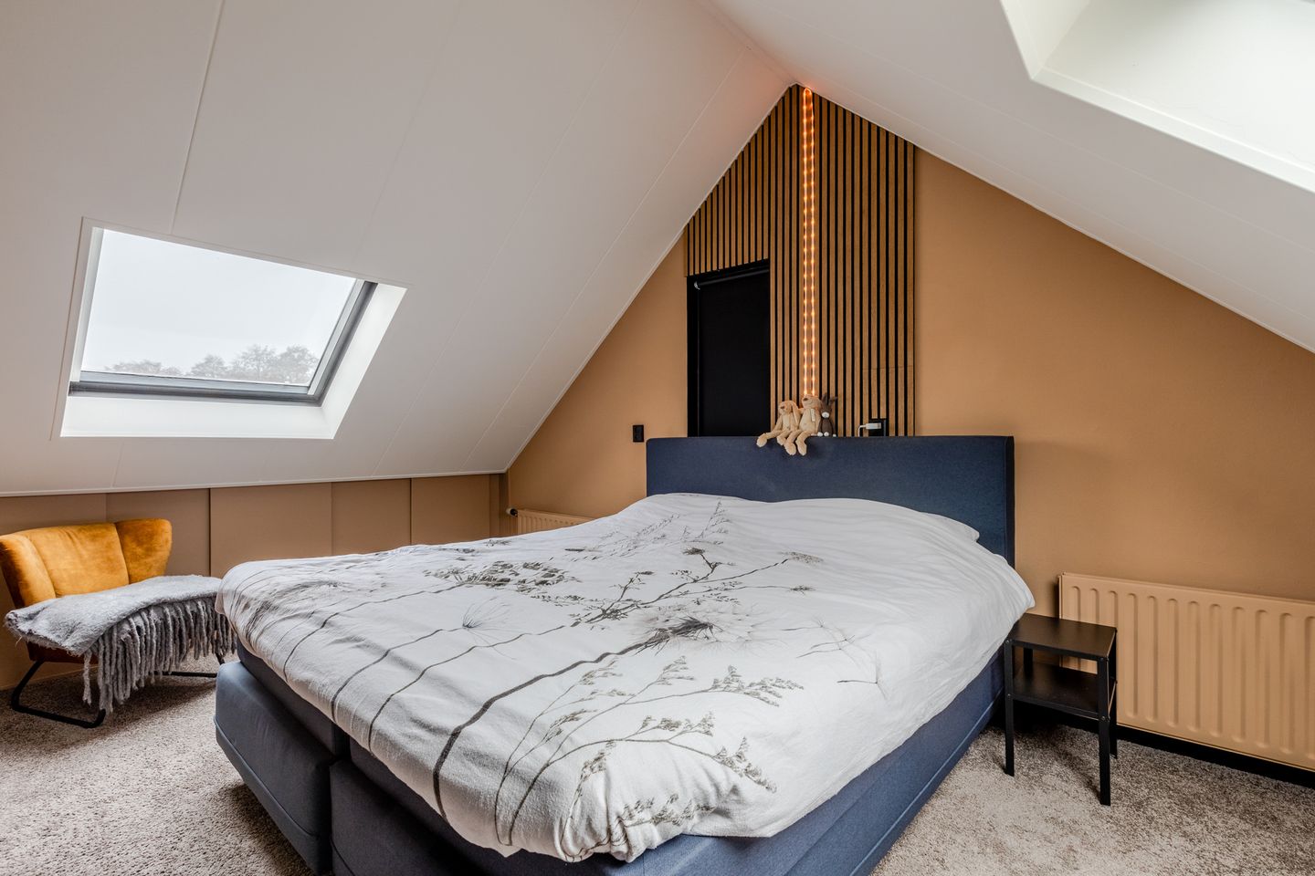 Foto 4 van Kruisdistel 3