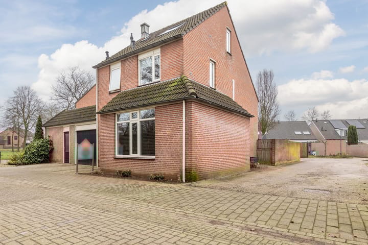 Foto 5 van Kruisdistel 3