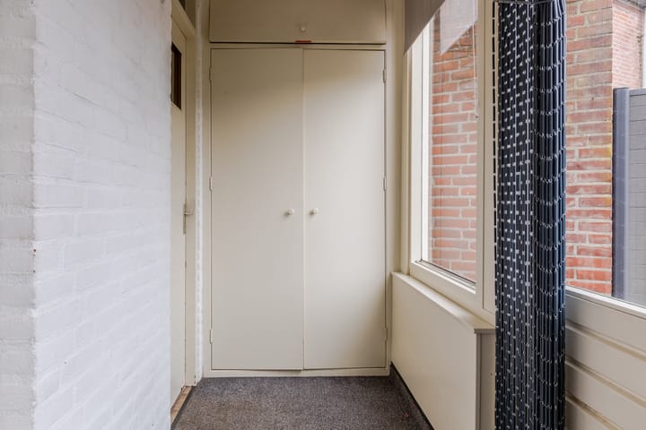 Foto 13 van Kruisdistel 3