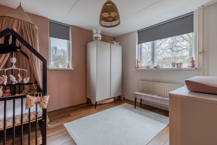 Foto 17 van Kruisdistel 3