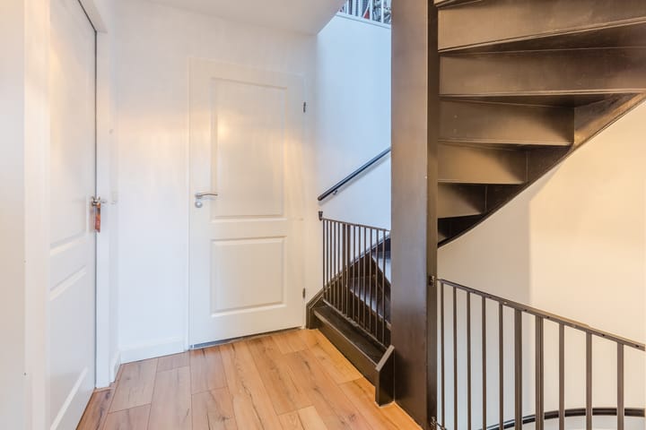 Foto 25 van Kruisdistel 3