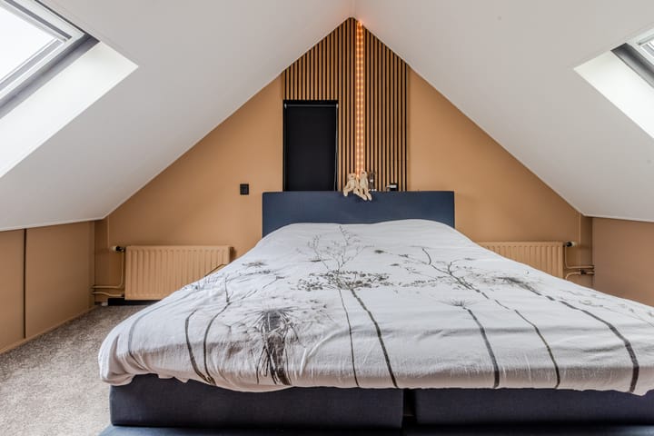 Foto 26 van Kruisdistel 3