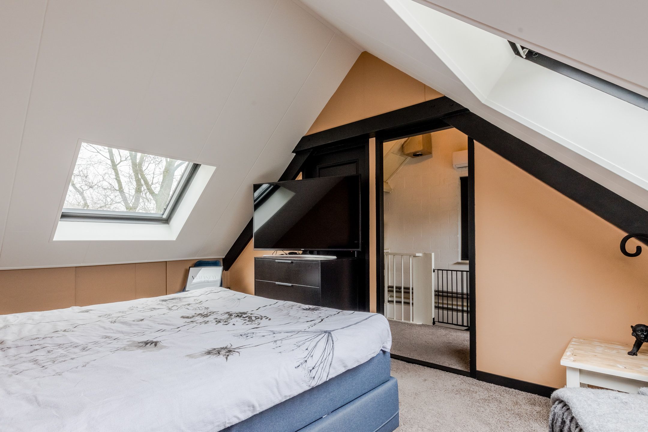 Foto 27 van Kruisdistel 3