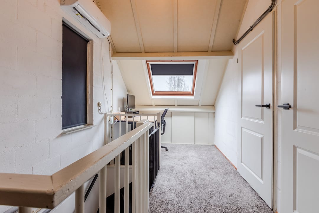 Foto 28 van Kruisdistel 3