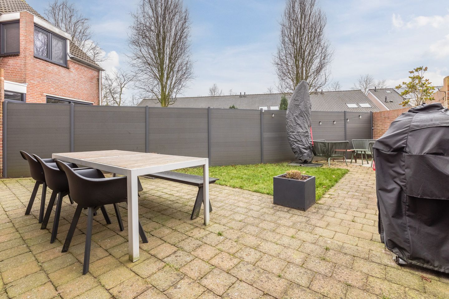 Foto 29 van Kruisdistel 3