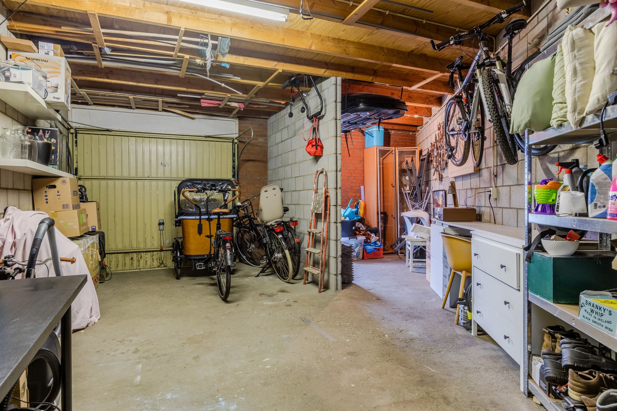 Foto 30 van Kruisdistel 3